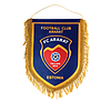 FCA_PENNAT30.False